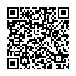 我要他将那个胆敢杀害吾主牧师的罪人头皮剥下来二维码生成