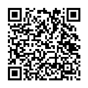 我要你们看着自己的人一个个的倒在你们的面前二维码生成