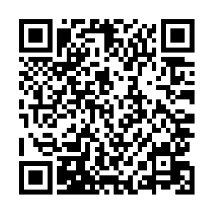 我要你做的事情很简单……给我留在多波王子跟前做内应二维码生成