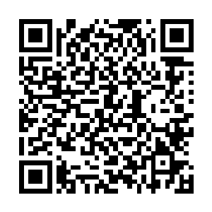 我要去西牛贺洲灵台方寸山斜月三星洞找菩提祖师求仙学道二维码生成