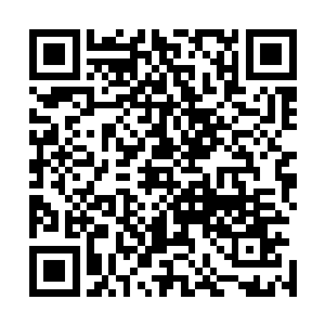 我要变强……我要去道宫……如果阻拦我母子相见的人太强二维码生成