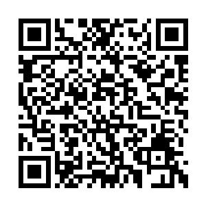 我要将整个泰国都牢牢的控制在我的手掌心之中二维码生成