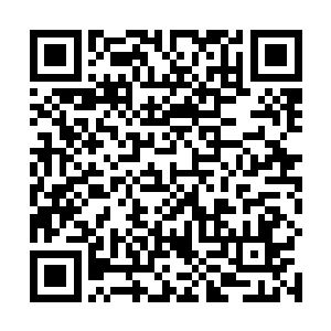 我要尽快回去将百圣城发生的事原原本本的禀告给殿主二维码生成