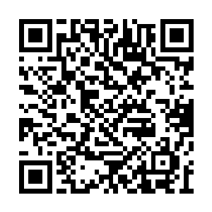 我要折磨蹂躏你们一万年十万年百万年啊啊啊啊二维码生成