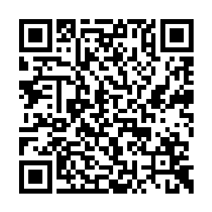 我要是能找到您这样的青年俊才做男朋友就好喽二维码生成