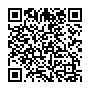 我要杀一个家伙是不需要诬陷对方的……在这里二维码生成