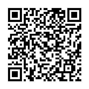 我要求我的女婿桑结在草原上放一把火烧死那些敌人二维码生成