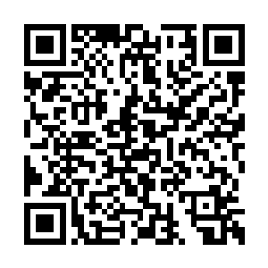 我要求的只是在我还年轻的时候就达到巅峰而已二维码生成