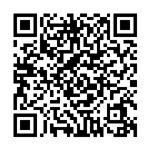 我要的是鲍勃可以以一个毫无瓜葛的清白身份去展开他的人生二维码生成