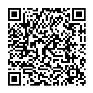我要知道爸妈下落的唯一办法就是……给他们打电话问一下不就行了二维码生成