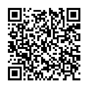 我要负责的就是把李猛竖立成一个见义勇为的典型二维码生成