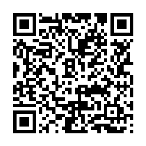 我要赌你把人类文明的未来看得比任何东西都重要二维码生成