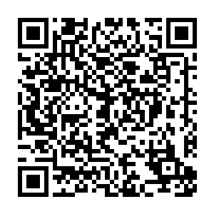 我要超级军功系统最新章节把这坚不可摧的无敌双掌移植到你的身上二维码生成