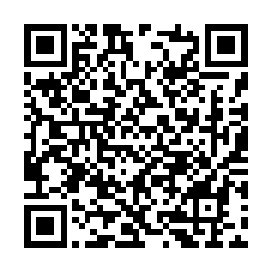 我见证了一场说不出道不明却满心感触的走蛟盛宴二维码生成