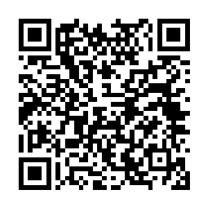 我见过维克托博士和他的研究小组栽培出来的兰花二维码生成