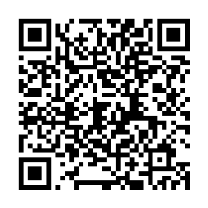 我觉得中央高层对待改革开放白勺态度已经日趋明朗化二维码生成