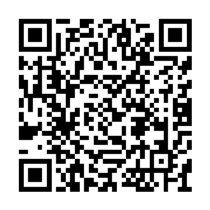 我觉得他们肯定是想要让我们家包个大红包来的二维码生成