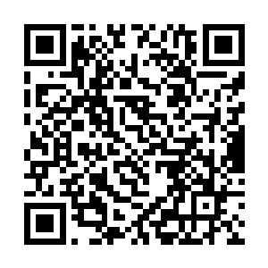 我觉得他们这第一选的俩个名额最好先拿上单和打野二维码生成