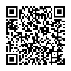 我觉得可能还是因为阜夭荡这个所在让他们生存起来更容易二维码生成