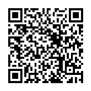 我觉得姿态这一泼能够逃生真的有很大的运气成分在内二维码生成