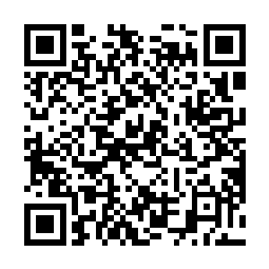 我觉得实在不能让这样的人当选我们公司的形象代言人二维码生成