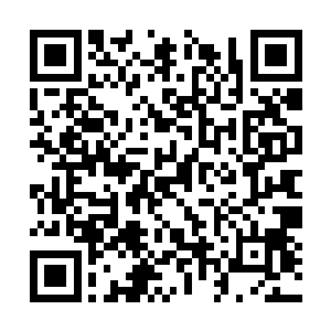 我觉得我们不能把全部的精力集中到陈珊的案子上二维码生成