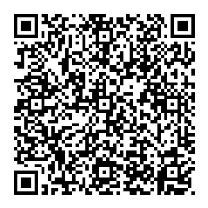 我觉得我们双峰可以成为为长风机器厂以及北方机械厂乃至周边一些国营大型机械制造加工企业配套的一个生产基地二维码生成