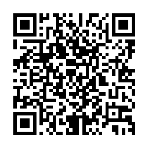 我觉得我们现在该考虑的就不是去掩饰林铭渡九陨的元气波动了二维码生成