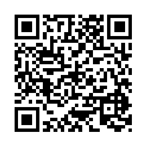 我觉得我家宗主一定不介意跟苏宗主试一试二维码生成