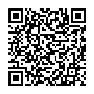 我觉得我就好像生活在……不食人间烟火的仙人群里二维码生成