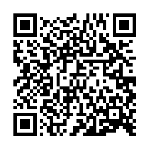 我觉得旅游本来就是出来寻找一个有一个的惊喜和刺激的二维码生成