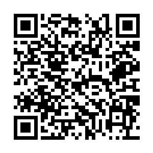 我觉得楚道机这次大概弄到了什么对付你的杀手锏二维码生成