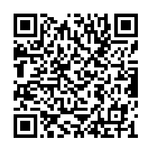 我觉得现在这个时候夏阳已经不敢做这样的事情二维码生成