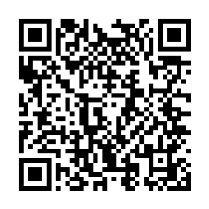 我觉得调查一下小岛可能对我们离开这里也有帮助二维码生成