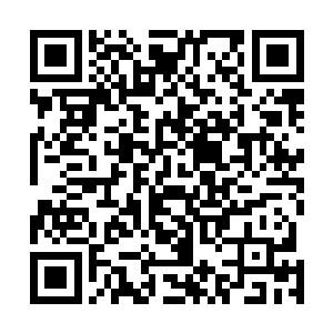 我觉得还是有可能敢在规定时间内抵达第八号训练基地的二维码生成