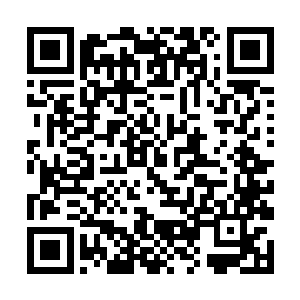 我觉得这件事市委是不是也征求一下组织部门的意见二维码生成
