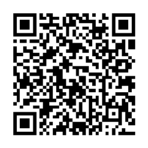 我觉得这有可能是人族与魔族在铁围山核心区域的最后一次大战二维码生成
