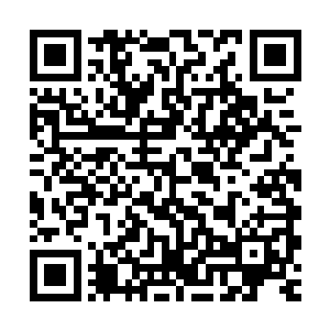 我觉得这辈子一定要和像主人一个人美丽的女人在一起才会幸福二维码生成