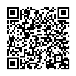 我觉得钢铁圣母可能被不会给我们机会在这里干掉他们二维码生成