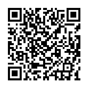 我觉着我的这个先祖血脉好像也没有什么大用吗二维码生成