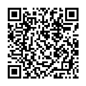 我认为一个敢于承认错误自我纠正错误的组织或者入二维码生成