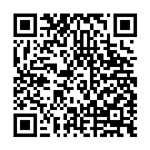 我认为您侮辱了我们德意志民族严谨的治学态度与契约精神二维码生成