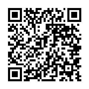 我认识很多导演朋友因为有到好莱坞拍片的机会而兴奋二维码生成