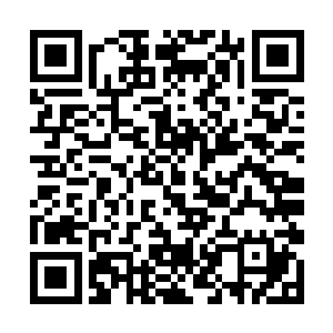 我让你任意地在这些原石中挑一块当作你赢得的彩头二维码生成