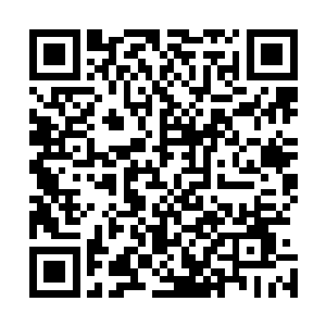 我让你在人体器官移植和疫苗方面下手进一步传播尸兄基因二维码生成