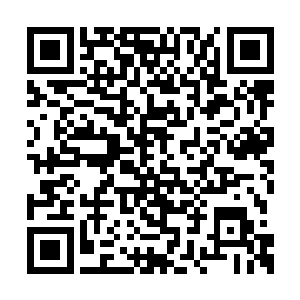 我让周晨曦去破坏他们的交通工具也就是那些车二维码生成