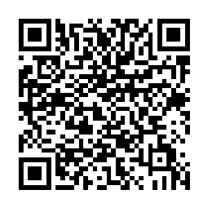 我让抱琴和弄琴把昏迷的夏楚抬到了山上那个破旧的小木屋二维码生成