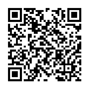 我让蓝柏带上他的头发样本和小庭的血一起去化验二维码生成