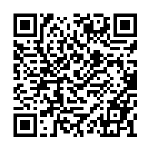 我让这些人成为你的内阁并不是因为我要控制你二维码生成