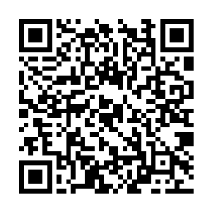 我训练的时候身上一共就只穿了两万八千斤的负重二维码生成